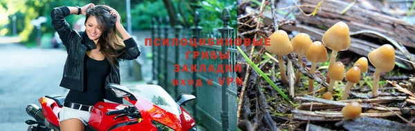 кокс Алексин