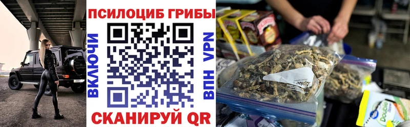 Псилоцибиновые грибы мицелий МЕГА ONION Ростов-на-Дону